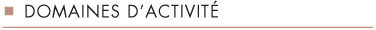 activité avocat nice